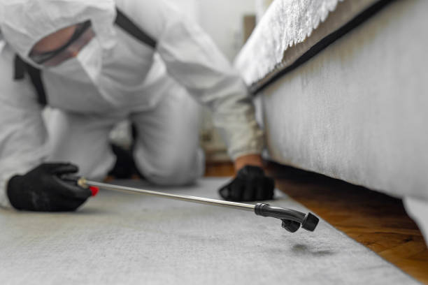 Professional Pest Control technician working in Springdale, PA
